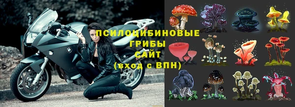 каннабис Балахна
